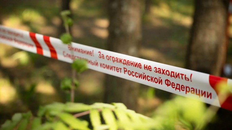 На острове в Тверской области ребенка убило упавшее дерево - новости ТИА