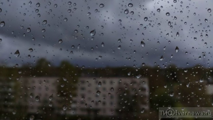 Норма дождей: где в Тверской области выпало больше всего осадков - новости ТИА