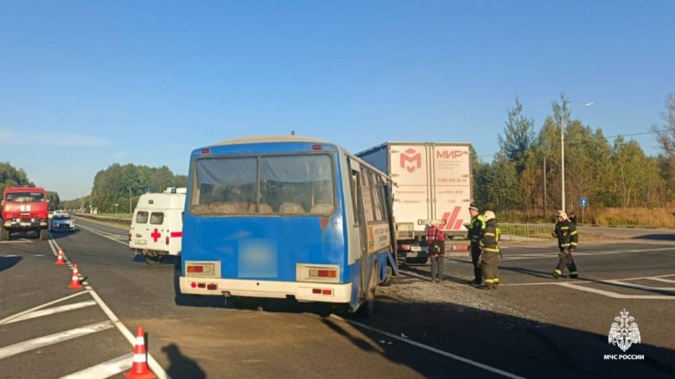 Расследование по ДТП с 8 пострадавшими: СК и прокуратура начали проверку - новости ТИА