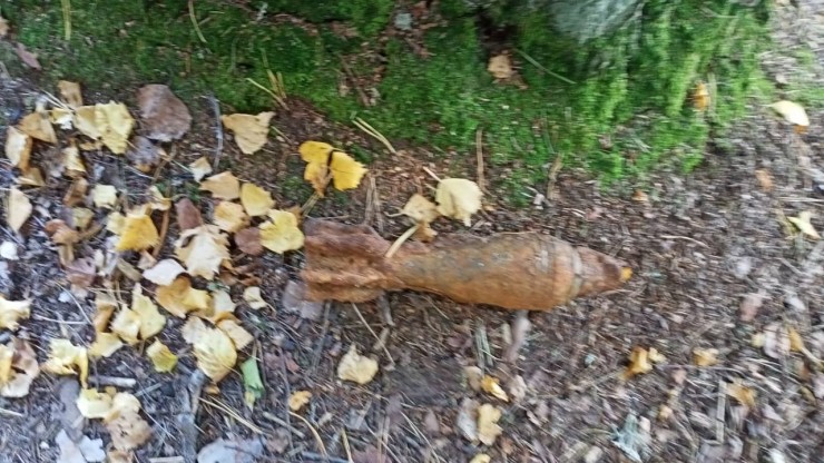 Специалисты нашли и уничтожили мину в Селижаровском округе - новости ТИА