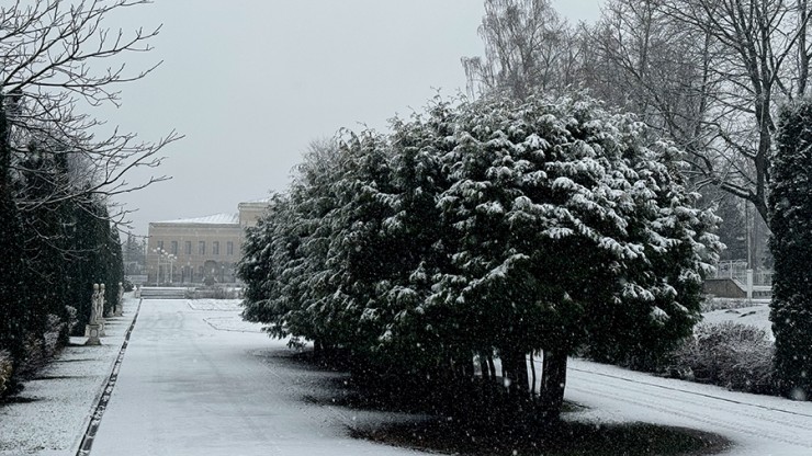 Зима придёт по расписанию: известный синоптик рассказал, когда выпадет первый снег - новости ТИА
