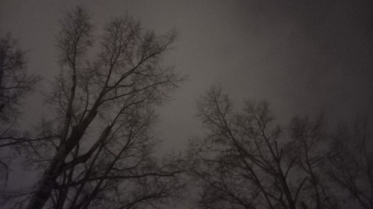 Ночью в Тверской области уничтожили три беспилотника - новости ТИА