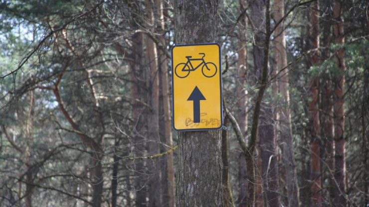 В лесу под Тверью обустраивают велотропу к карьерам - новости ТИА