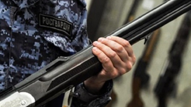 В Тверской области из оборота изъяли 1200 боеприпасов и 415 единиц оружия - новости ТИА