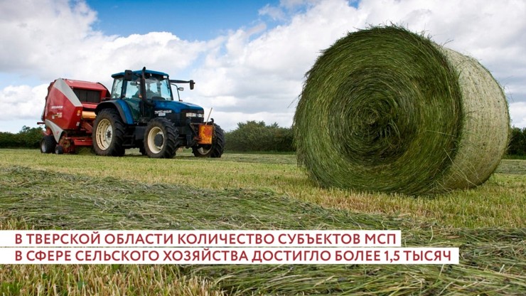 В 2025 году в Тверской области появилось почти 30 новых сельскохозяйственных МСП - новости ТИА