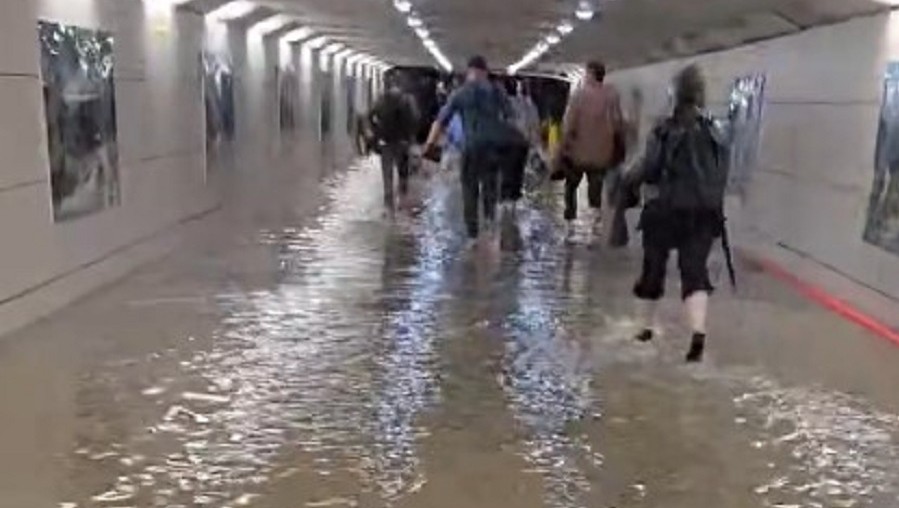 Фото: прислали в редакцию ТИА