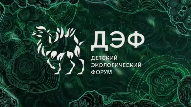 Проект юных экологов из Тверской области победил на Всероссийском эко-форуме - новости ТИА