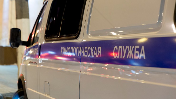 В Твери ищут мужчину, наказывавшего женщину на детской площадке - новости ТИА