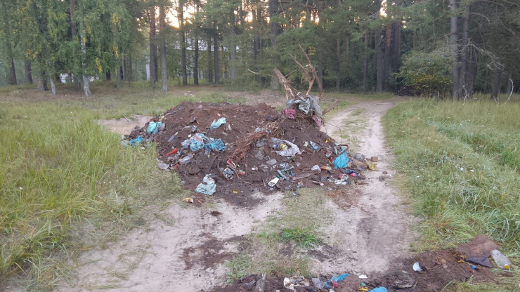 В лесу в районе деревни Ветлино свалили мусор - народные новости ТИА