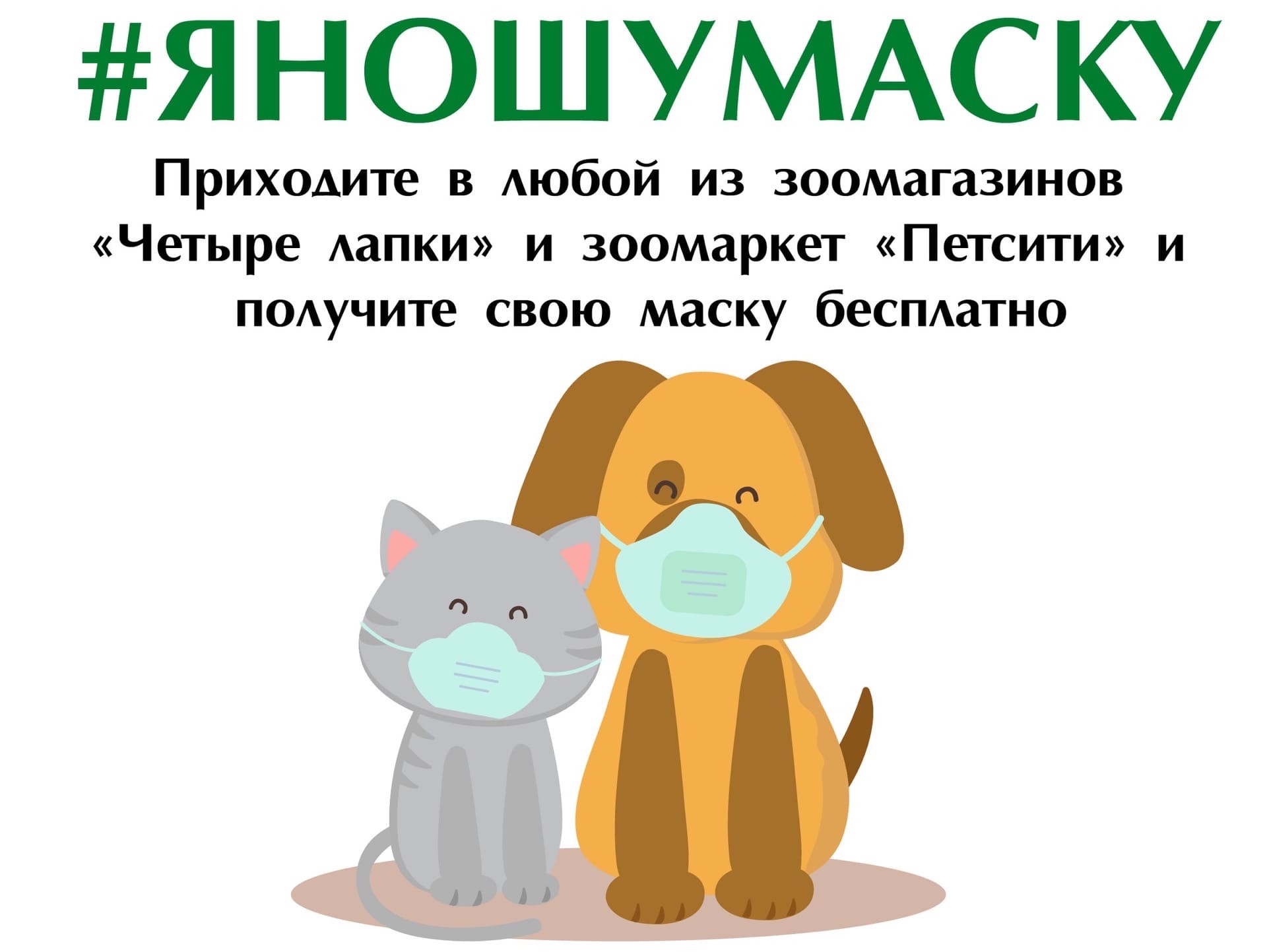 Тверские зоозащитники бесплатно раздают в зоомагазинах многоразовые маски -  ТИА