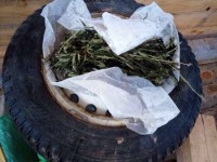 В Тверской области во время обыска у мужчины нашли 120 граммов конопли - Новости ТИА