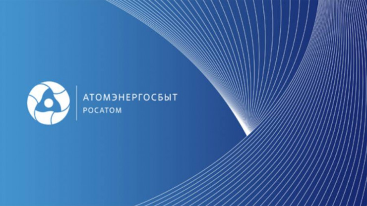 По инициативе "АтомЭнергоСбыта" возбудили более 20 уголовных дел - новости ТИА