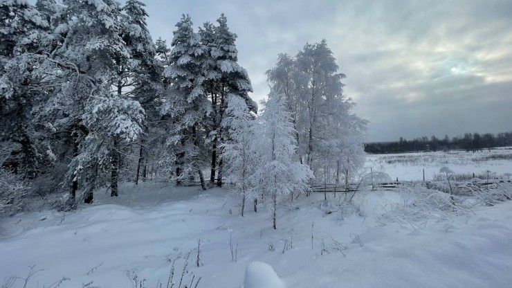 В Тверской области сильные морозы после оттепели приведут к образованию ледяного панциря - новости ТИА