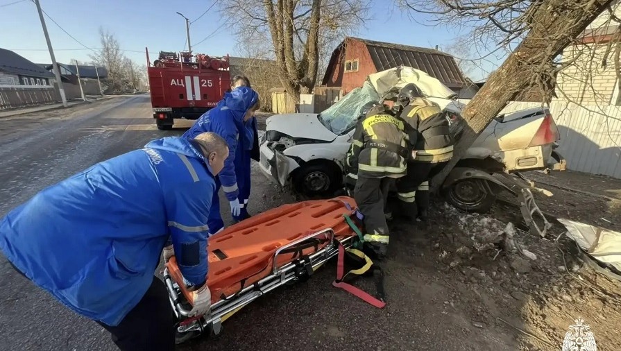 Фото: ГУ МЧС России по Тверской области