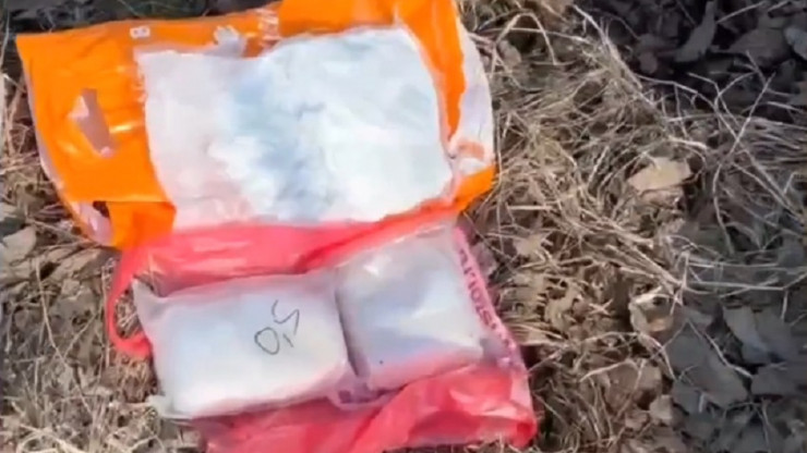 Житель Московской области спрятал в лесу под Тверью почти 2,5 кг наркотиков - новости ТИА