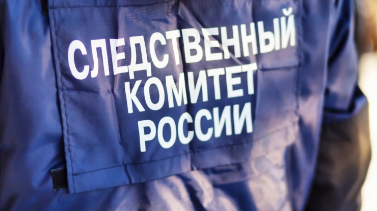 В Твери проводят проверку после публикации о предполагаемом педофиле - новости ТИА