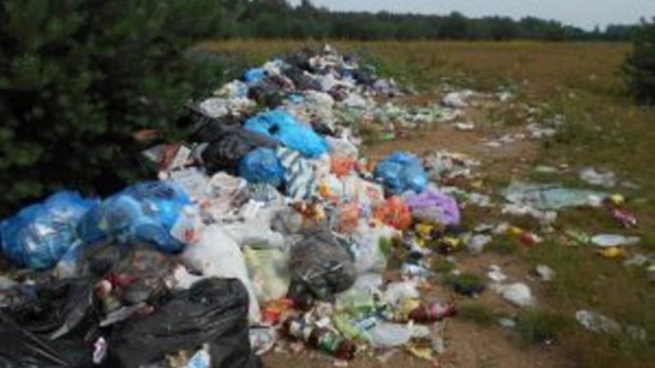 В Тверской области на сельхозугодьях устроили две свалки - новости ТИА