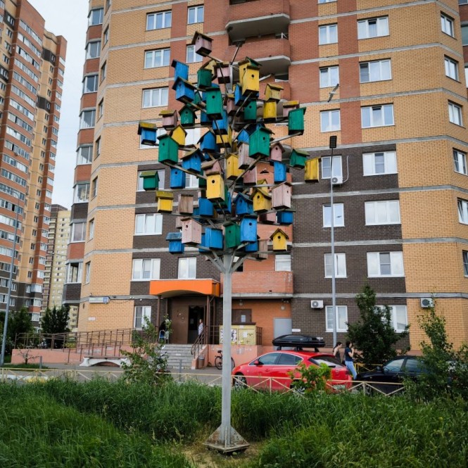 Фото: Люба Абракадабра