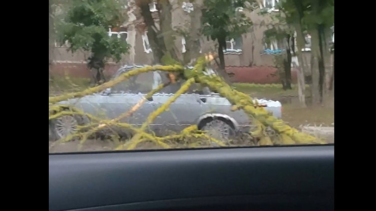 Дерево упало на автомобиль в Твери - новости ТИА