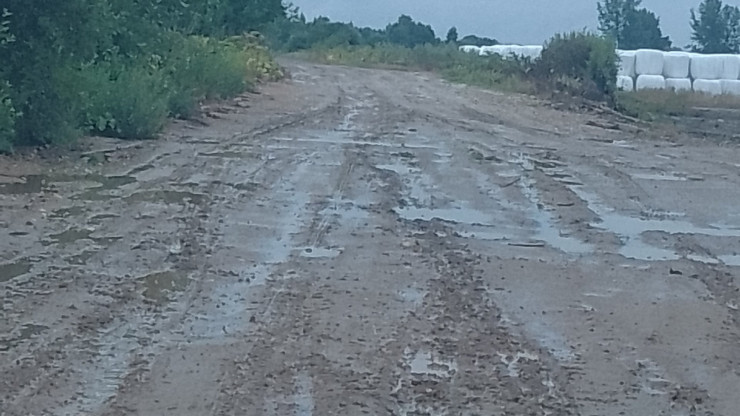 Дети в Тверской области лишилась школьного автобуса из-за состояния дороги - народные новости ТИА