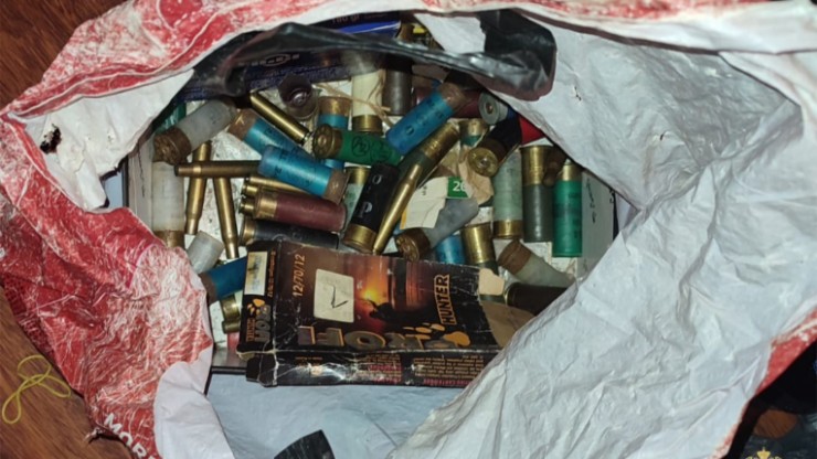 В поле в Тверской области нашли две лосиные туши с пулевыми отверстиями - новости ТИА