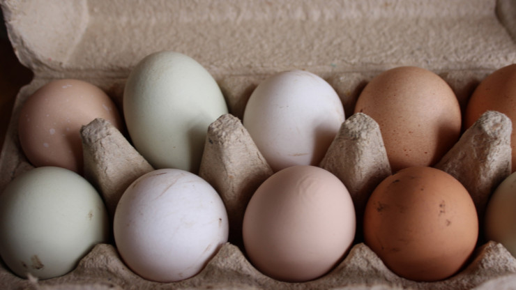 ФАС разбирается с ростом цен на яйца - новости ТИА