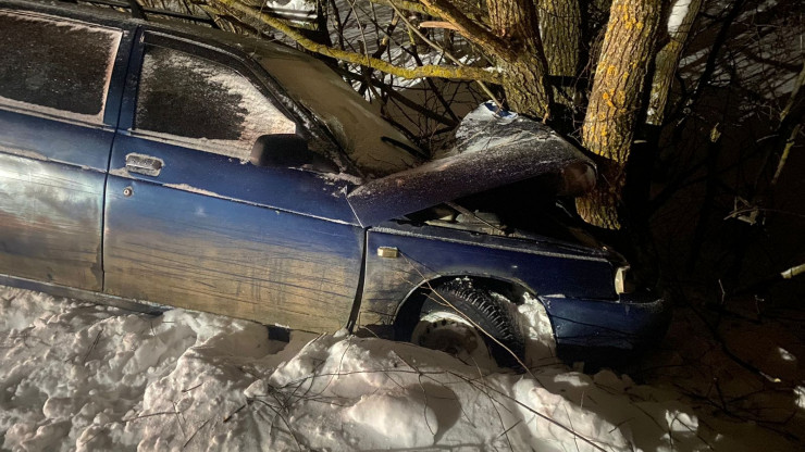 В Тверской области автомобиль врезался в дерево: пострадали двое детей - новости ТИА
