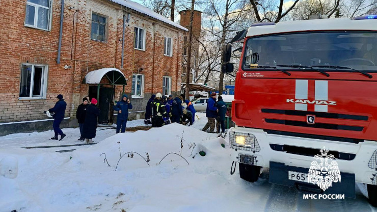 В Тверской области на пожаре спасатели пытались вернуть к жизни двух котов - новости ТИА