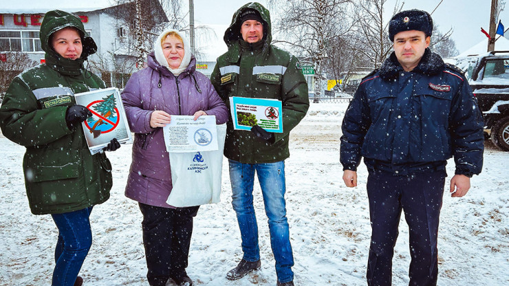 Более 430 рейдов провели в Тверской области во время мероприятия "Елочка" - новости ТИА
