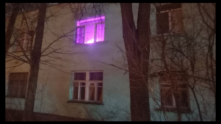 Жители Твери торопят весну и высаживают рассаду - новости ТИА