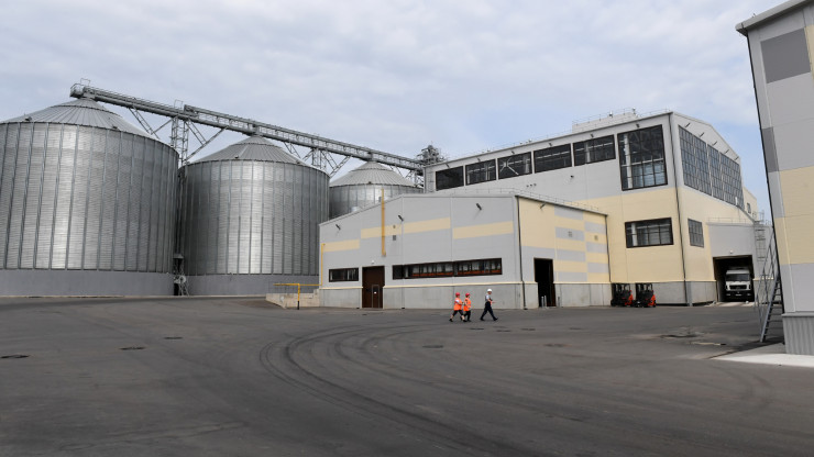 В Тверской области произвели более 180 тысяч тонн корма для сельхоз животных - новости ТИА