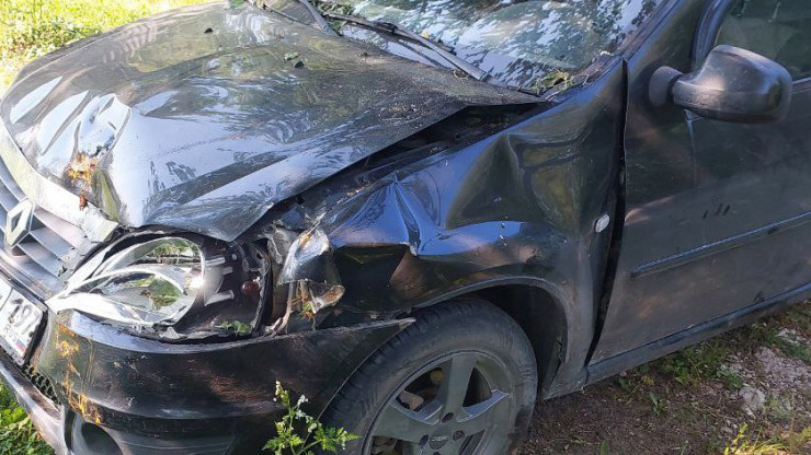 В Тверской области пенсионерка на машине врезалась в дерево - новости ТИА