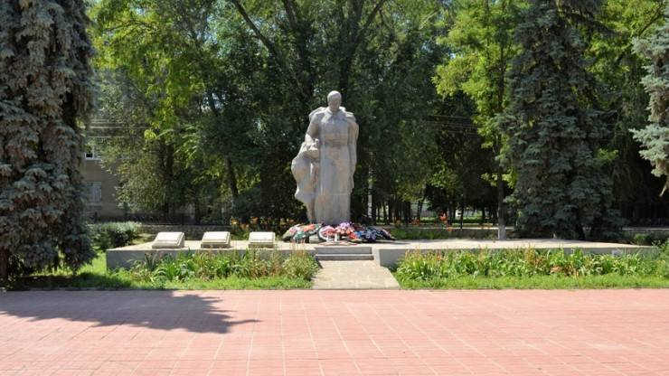 Тверские поисковики выяснили судьбу пяти погибших советских солдат - новости ТИА