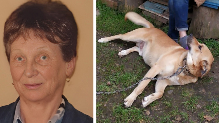 Тверичан просят помочь в поисках дезориентированной бабушки с собакой - новости ТИА