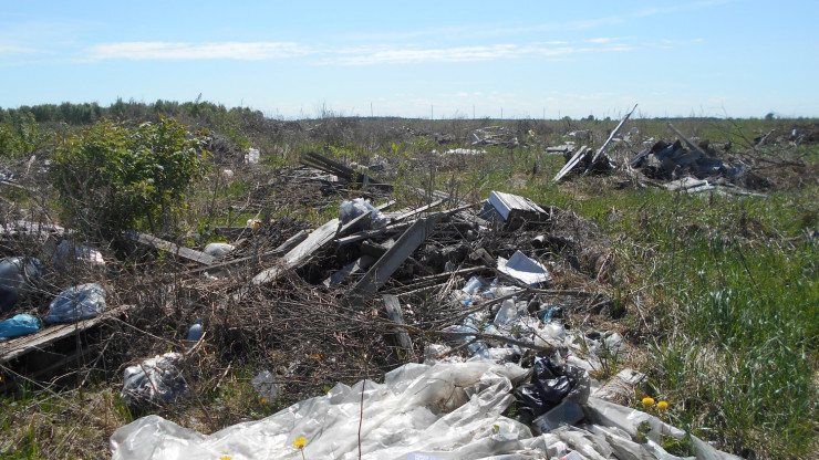 В Тверской области более 16 га пашни заросли сорняками и мусором - новости ТИА