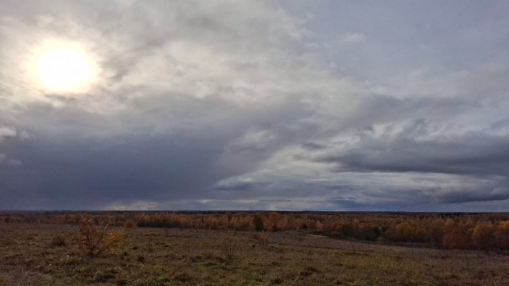 На Солнце – вспышка редкой силы: ученые фиксируют резкий рост активности - новости ТИА