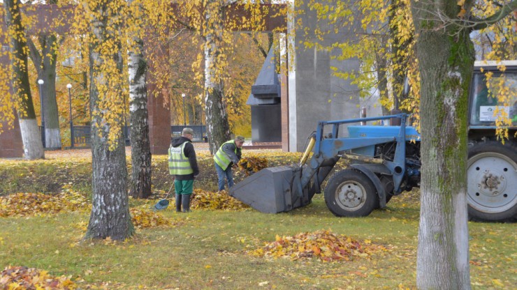В Твери к предстоящему весеннему сезону высадят 60 тысяч луковиц тюльпанов - новости ТИА