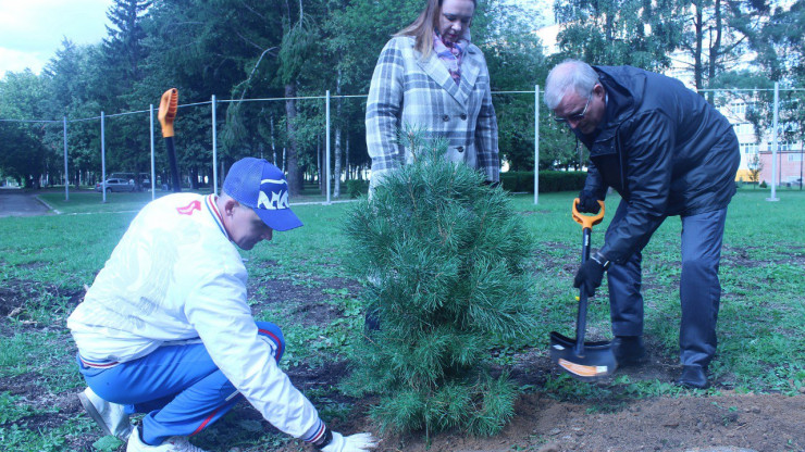 Почти 128 000 саженцев деревьев и кустарников высадили в Тверской области - новости ТИА