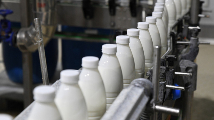 В Тверскую область приехали крупнейшие производители молочной продукции - новости ТИА