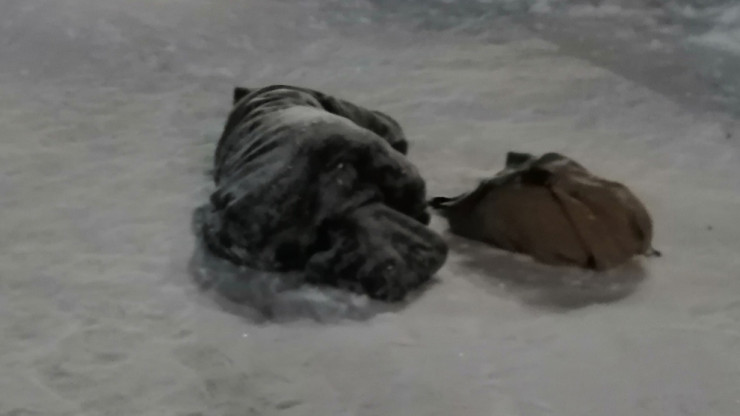 В Тверской области прохожие помогли мужчине, лежащему на снегу посреди улицы - новости ТИА