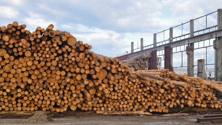 Из Тверской области древесину вывозят в пять стран - новости ТИА