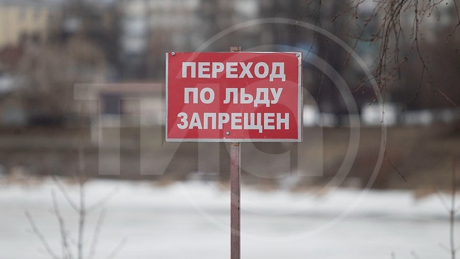 Фото: ТИА