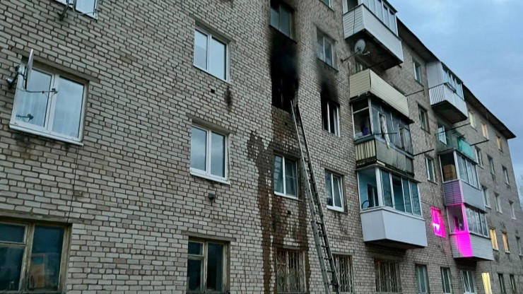 Пожарные из горящей квартиры под Тверью спасли 5 детей и 4 взрослых - новости ТИА