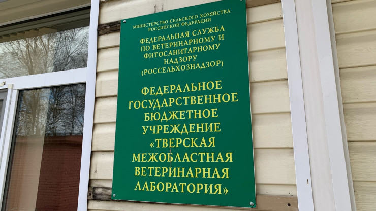 В деревне под Торжком ввели карантин по бешенству - новости ТИА