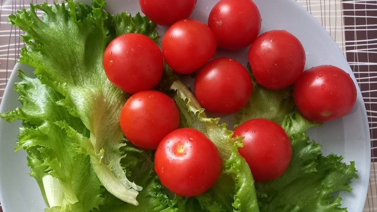 Как избежать кишечных инфекций на ярмарках урожая: советы Роспотребнадзора - новости ТИА