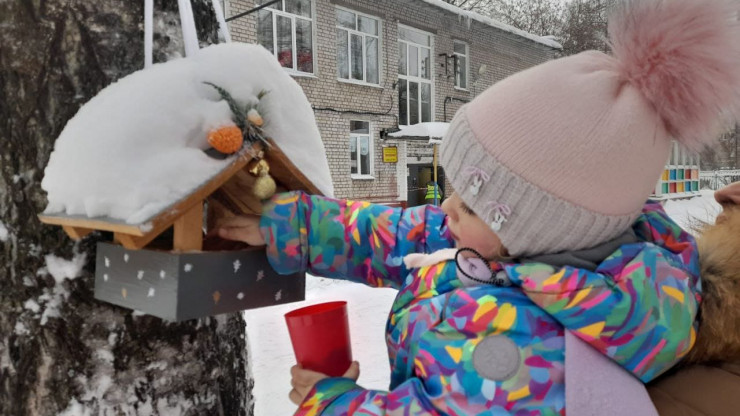 В детских садах Твери проходит акция "Покормите птиц зимой" - новости ТИА