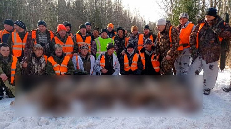 В Тверской области охотники убили девять волков за час - новости ТИА
