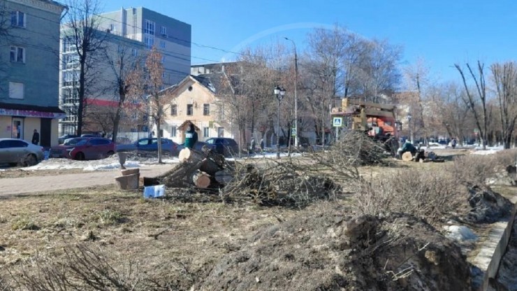 Стало известно, зачем на бульваре в Твери вырубили деревья - новости ТИА