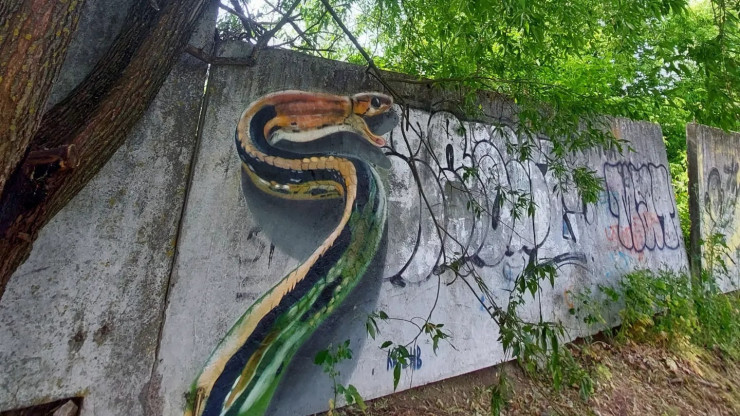 В Твери на заборе появилось новое граффити – яркая змея - новости ТИА
