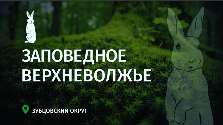 Заповедное Верхневолжье: Устье реки Держи – речные ворота, где камни хранят историю - новости ТИА